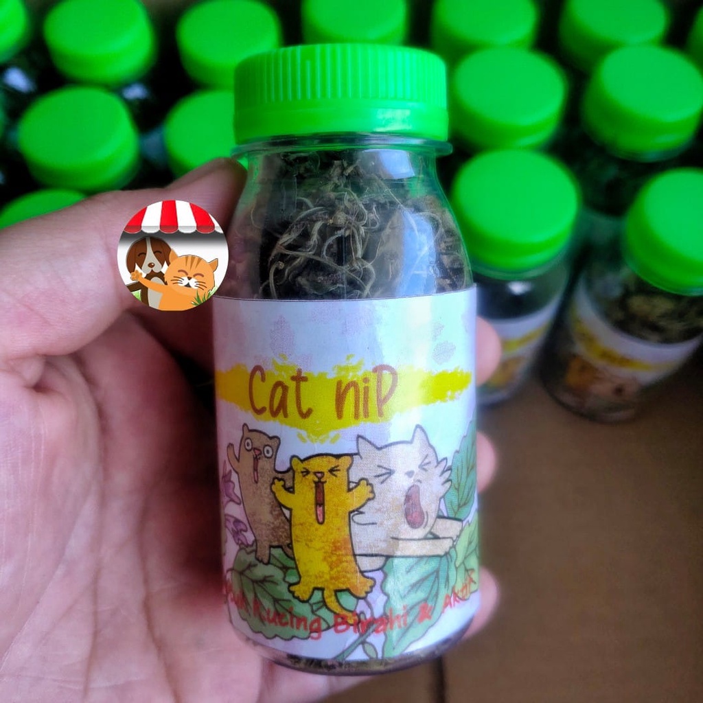 Catnip Daun Kering Cat Mint 15gr - Untuk Kucing Birahi Anti Stress