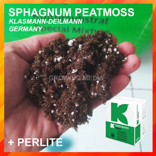 Jual PEAT MOSS SPHAGNUM PERLITE 1Kg MEDIA TANAM SUPER PEATMOSS Shopee Indonesia