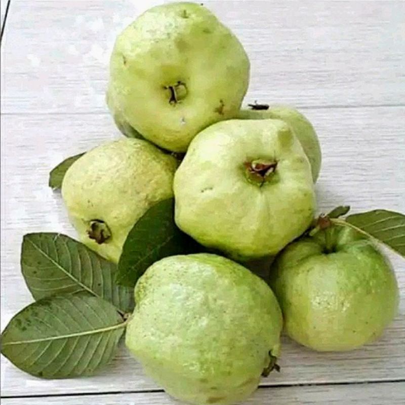 

Jambu Kristal Non Biji 1 Kg