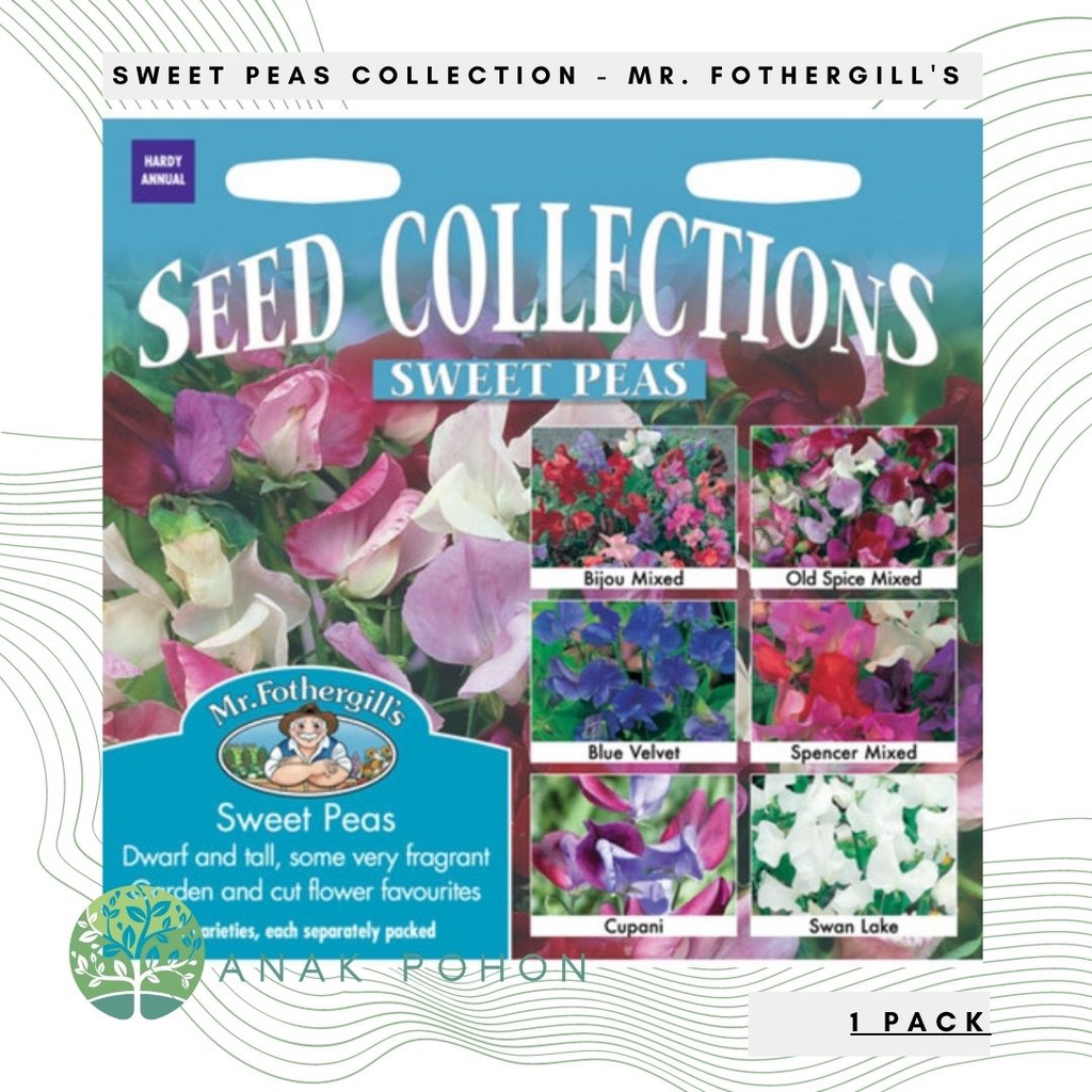 (1 PACK) Benih Sweet Peas Seed Collections Seeds - Mr. Fothergill's - 105 Biji