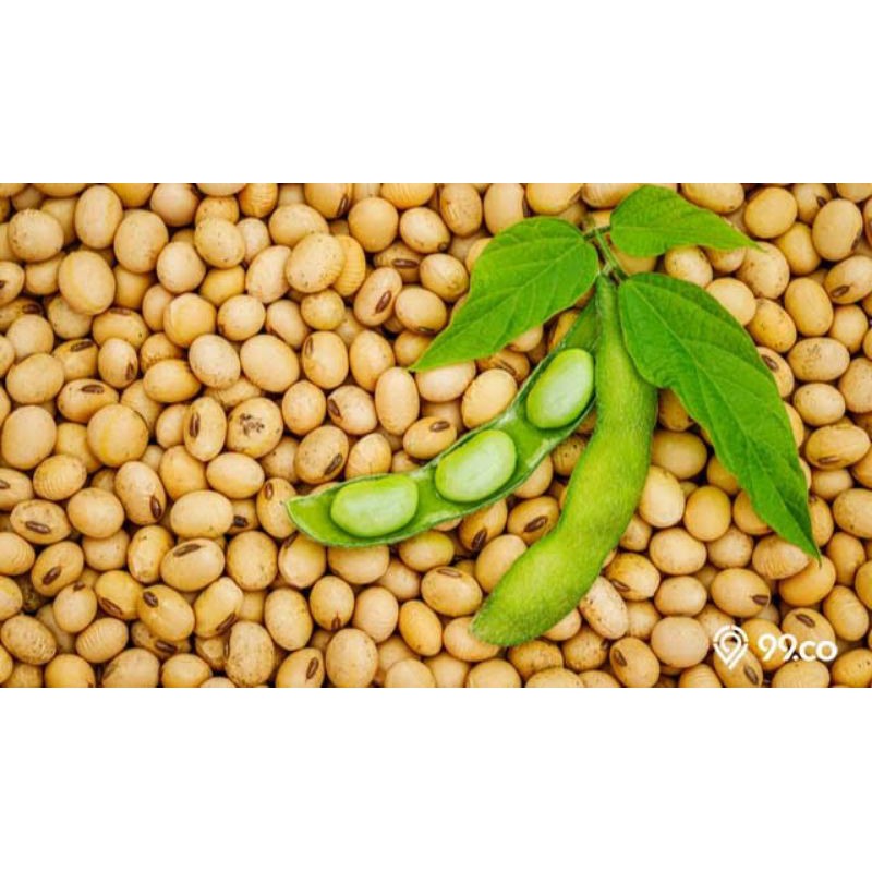

Kacang kedelai