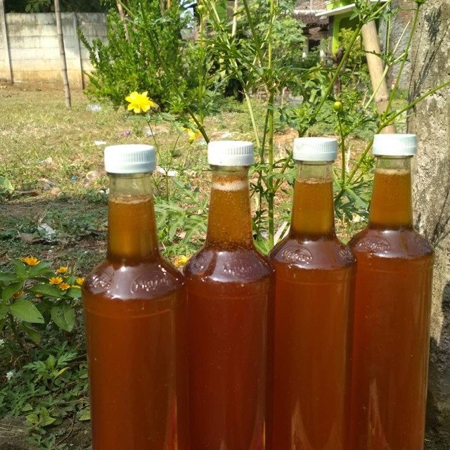 

Madu Kelengkeng