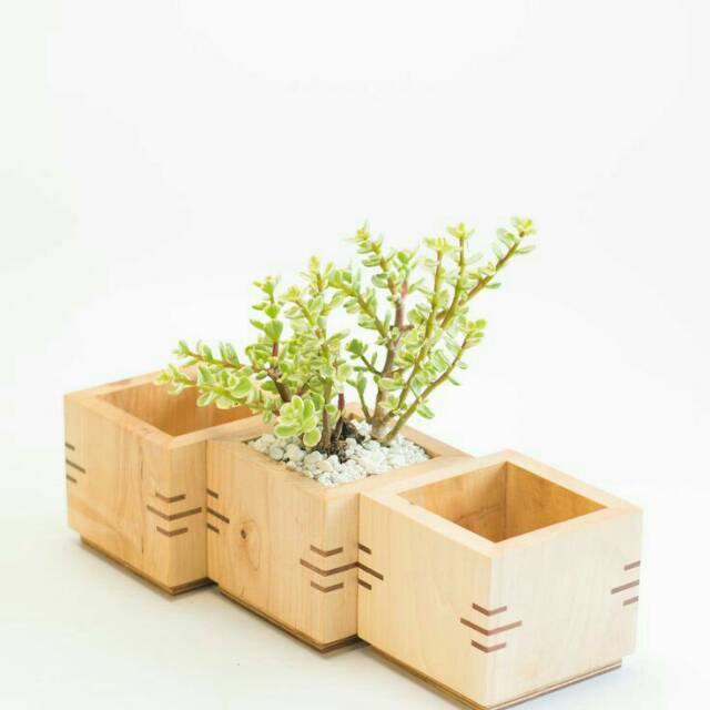 Set pot  bunga kubus tiga pcs dari kayu jati tinggal pakai  