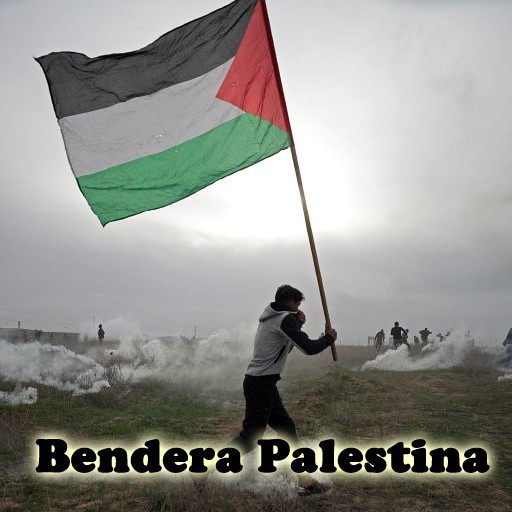 Bendera Palestina ukuran besar / flag of Palestine