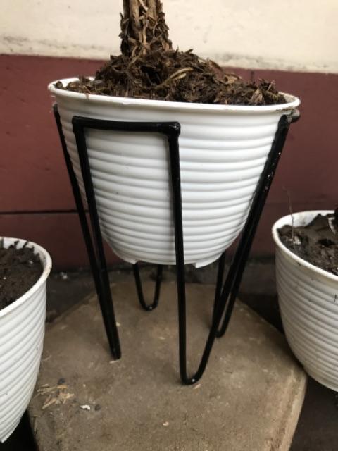 Standing Planter Meja Modern Harmonia Kaki Empat Gold/hitam/putih