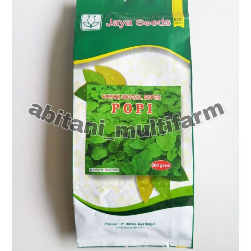 BIBIT - BAYAM POPI BAYAM UNGGUL SUPER - 500 GRAM
