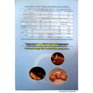 Jual SEMEN CONCH PCC 50KG (MINIMAL ORDER 200 ZAK) - BELUM BONGKAR ...