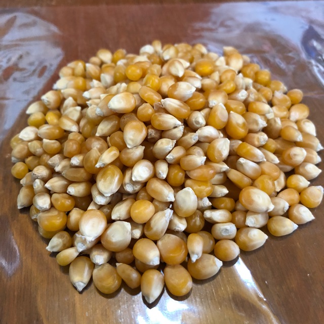 

Jagung Pop Corn Eceran 1000gr