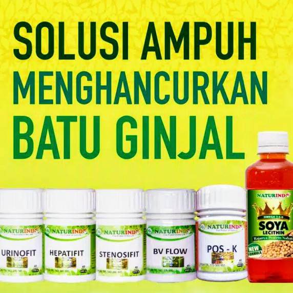 

Solusi Ampuh Menghancurkan Batu Ginjal