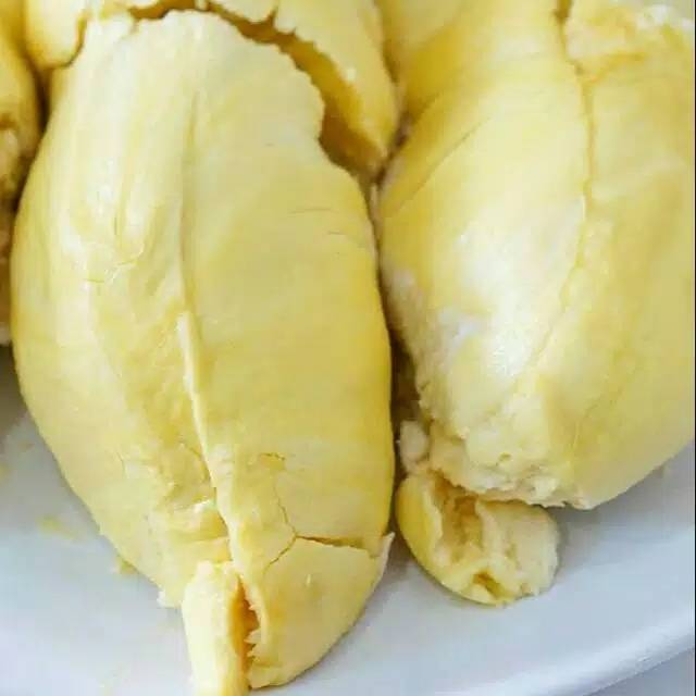 Bibit durian musangking Terlaris