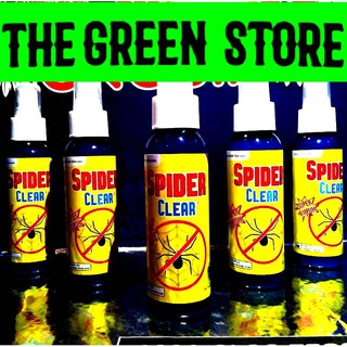 Spider Clear Membasmi tuntas laba  laba  dan segala bentuk 