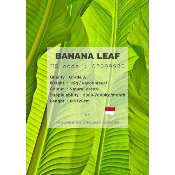 

Banana leaf / Daun pisang Original Indonesian garden product