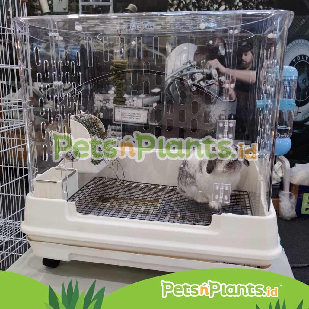 Kandang Kelinci Akrilik - Rabbit Bunny Cage CRYSTAL CLEAR Acrylic Import