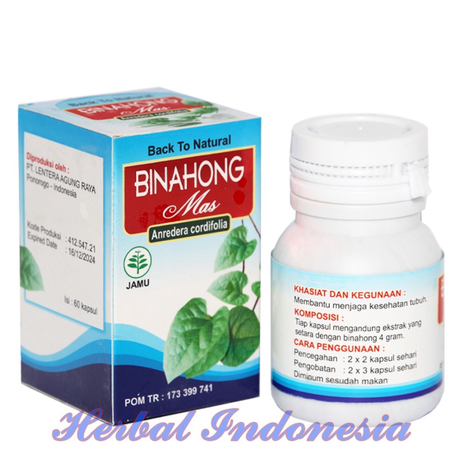 Kapsul BINAHONG MAS  Ekstrak Daun Binahong Asli isi 60 kapsul
