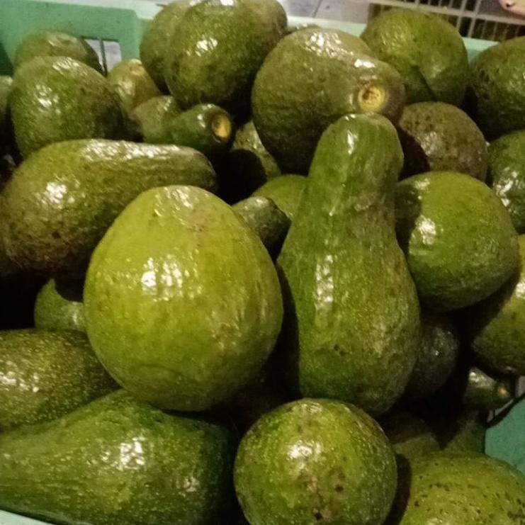 

ksc alpukat mentega 1000gr t88¥