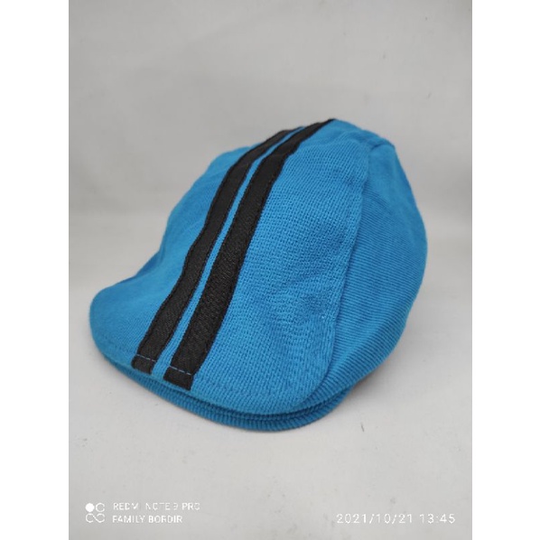 topi pet/copet/pelukis/kodok anak