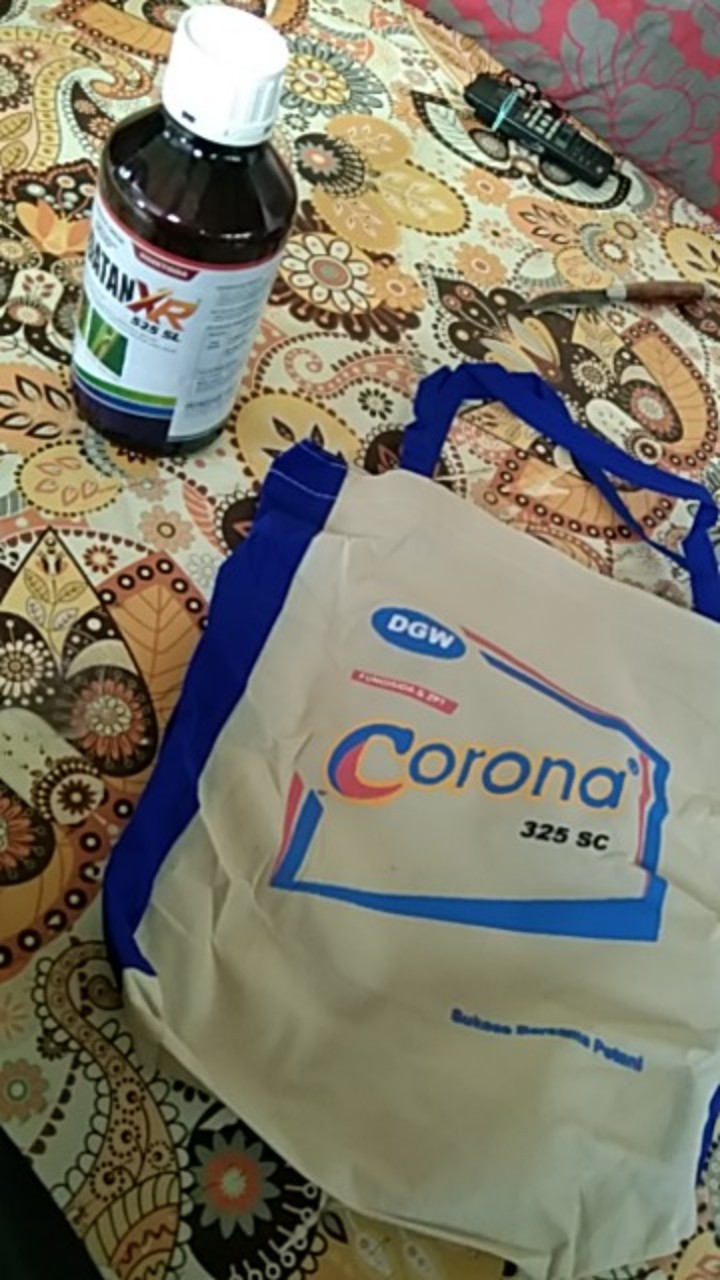 Sidatan Xr Pestisida Insektisida Pengendali Sundep / Penggerek Batang / Wereng Coklat 500ml 1liter