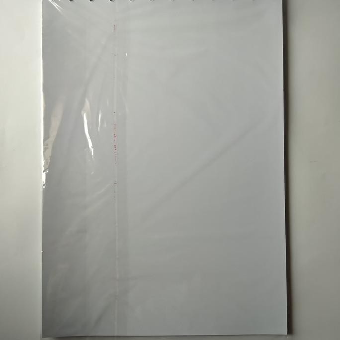 

Limited Lyra Refill Sketch Book A3 Sale!!!