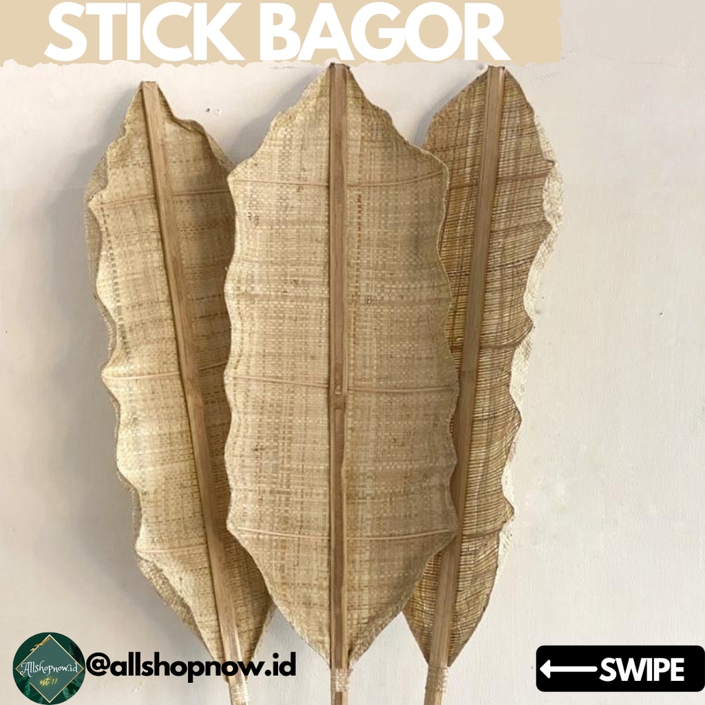 Stick Rayung / Stick Bagor / Daun Rayung / Bunga Kering / Daun Kering / Stick Dekorasi