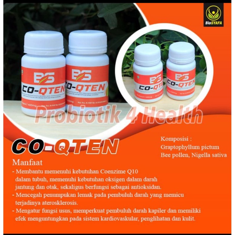 BIOSYAFA Co-Q Ten (multivitamin)