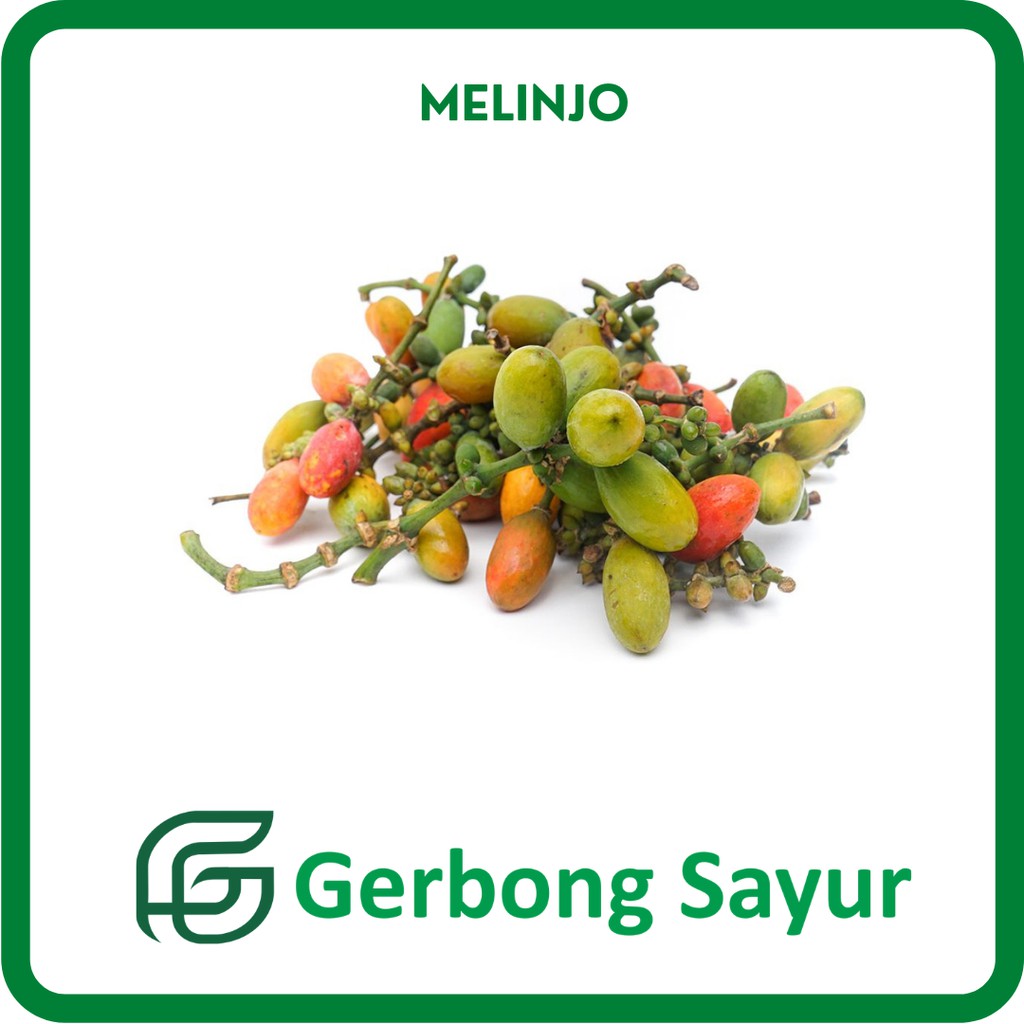 

Sayur Melinjo Segar - 250g