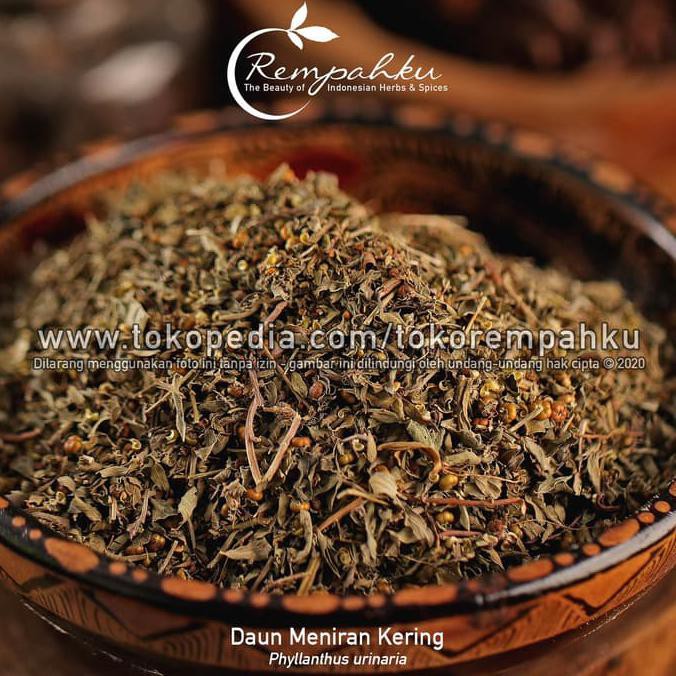 

(Terlaris!!) ramuan rempah - Daun MENIRAN Kering 1kg Jamu Herbal Phyllanthus urinaria