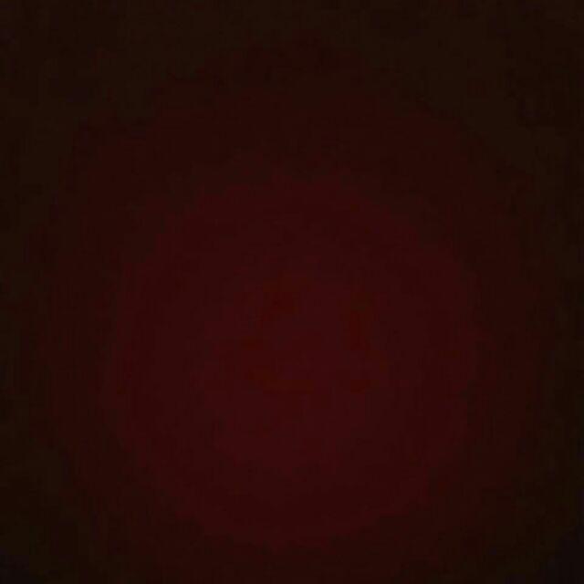 Swallow S-125 Naphthalene 100 Gr