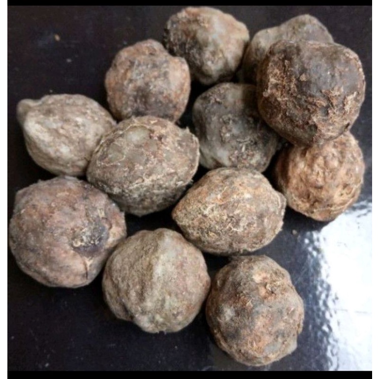 

buah kemiri utuh satuan