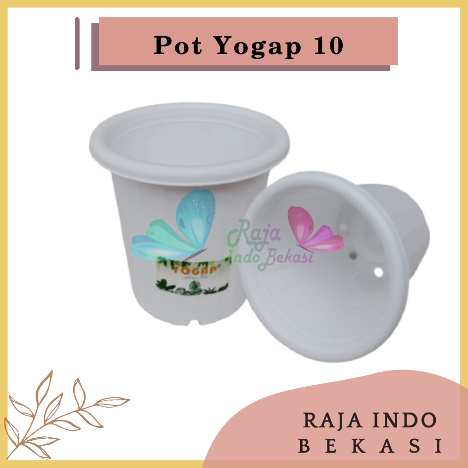 Pot Yogap 10 Putih Tinggi Tebal Berkualitas Pot Yogap 10 13 15 17 18 Murah Grosir Pot Yogap 10 Putih