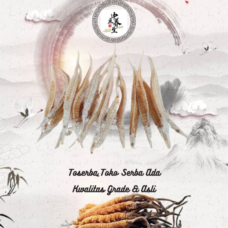 

1ekor da hai long 大海龙 naga laut jumbo kering syngnathus acus super