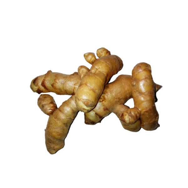 

KUNYIT PUTIH / TEMU PUTIH SEGAR (CURCUMA ZEDORIA) 1 KG