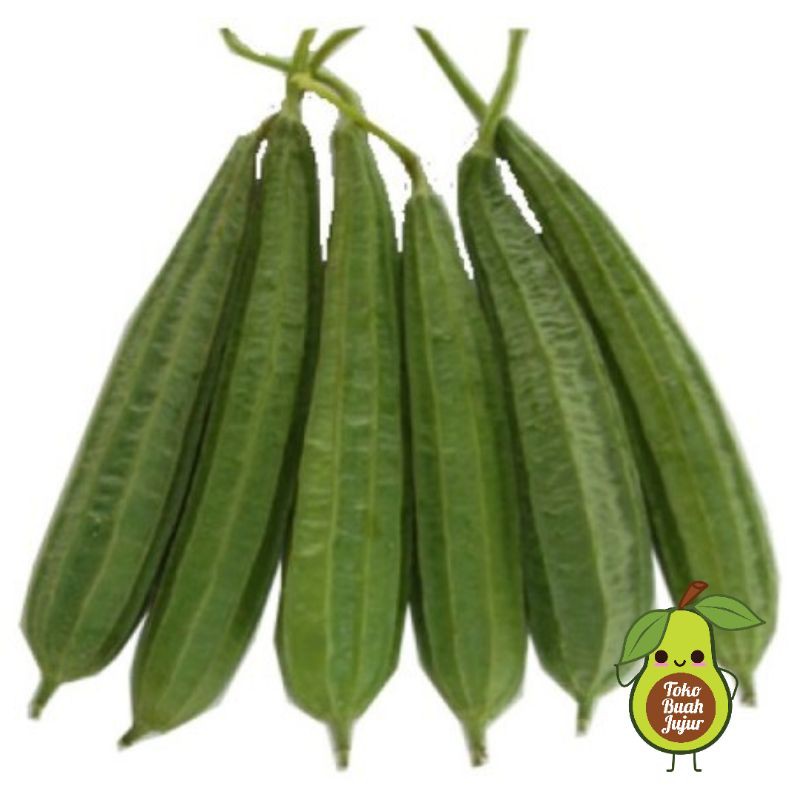 

OYONG FRESH 500Gr