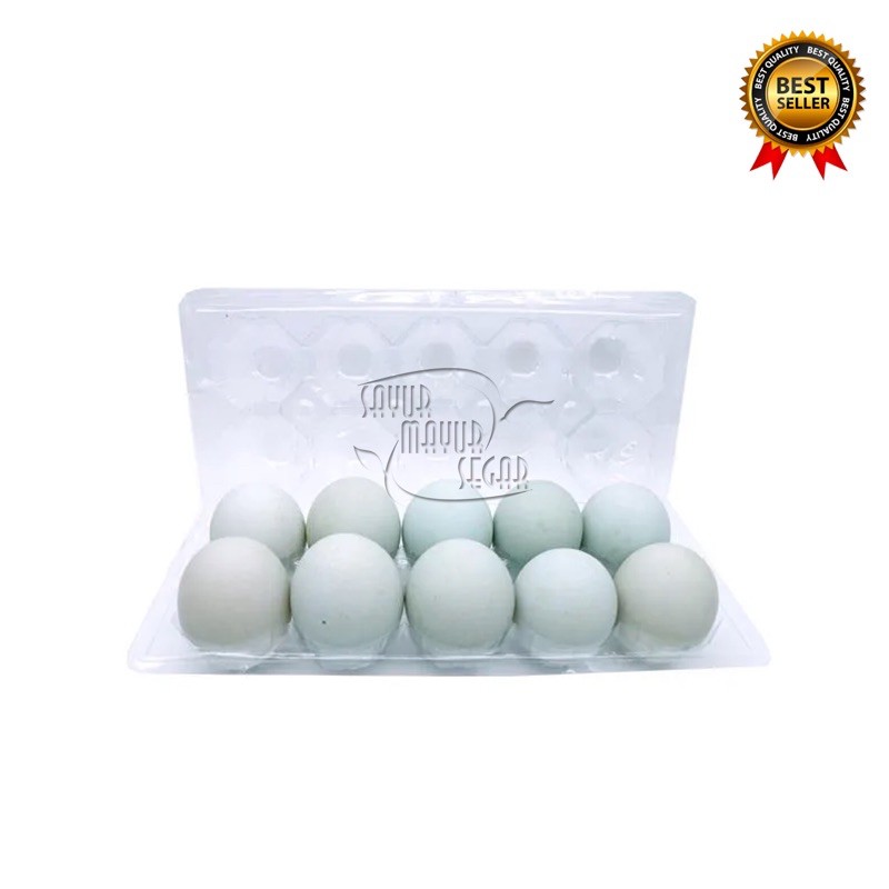 

KIRIM INSTAN Telur Bebek / Telor Bebek 10 Pcs ( Butir )