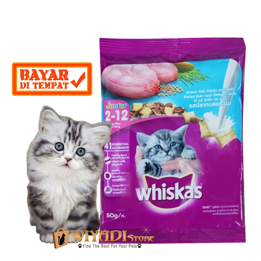 Whiskas Junior Fres Pack 50gr - Makanan kering Anak Kucing kecil yang bagus dan disukai