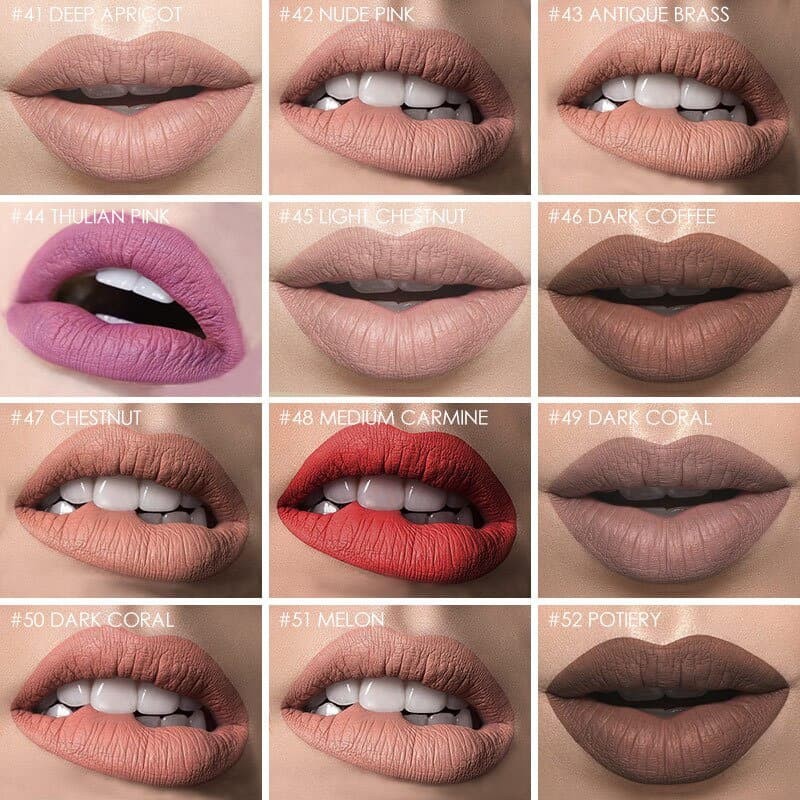 (READY &amp; ORI!) Focallure 12 Colors Lip Matte Lipstick Matte FA24 FA 24 Lip Cream Nude Series