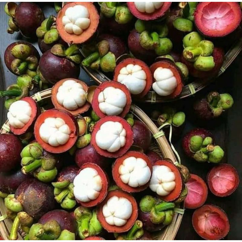 Buah manggis manis 1 kg