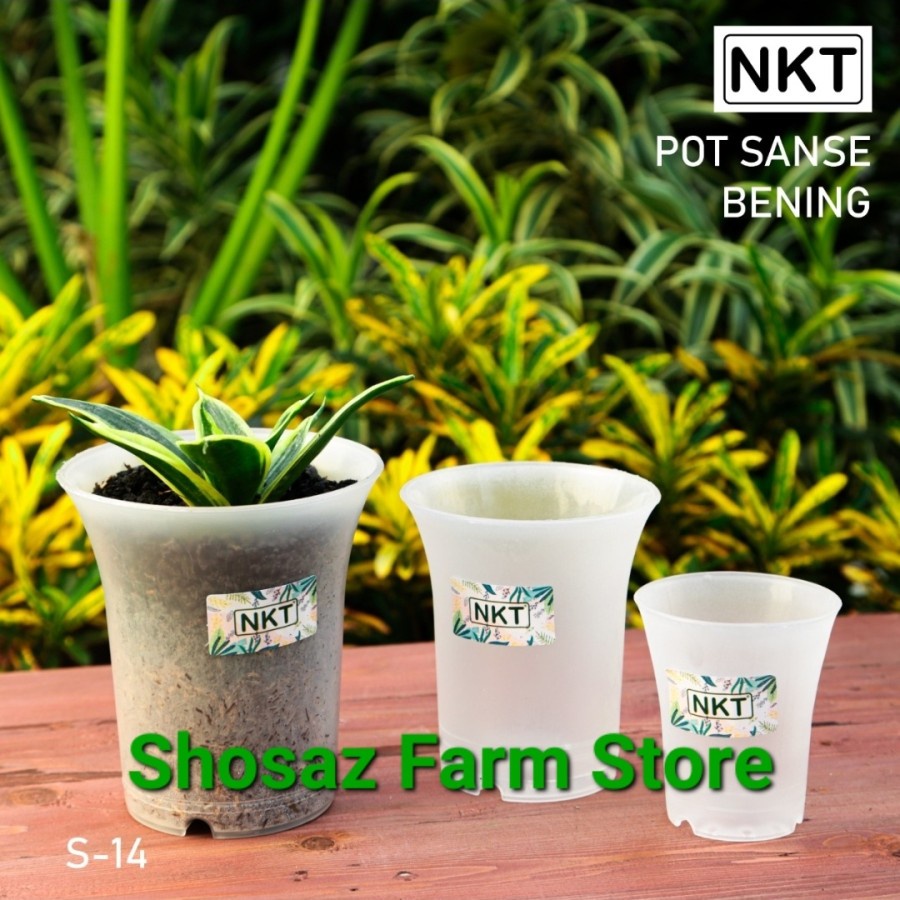Pot Sanse NKT 8 Bening / POT KAKTUS / POT BUNGA TGG / Pot Mini