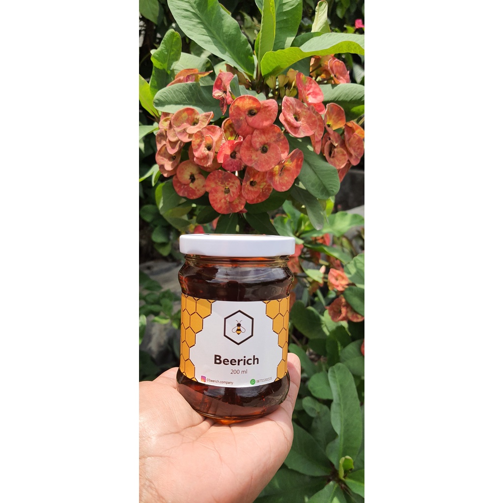

Madu Hutan Asli