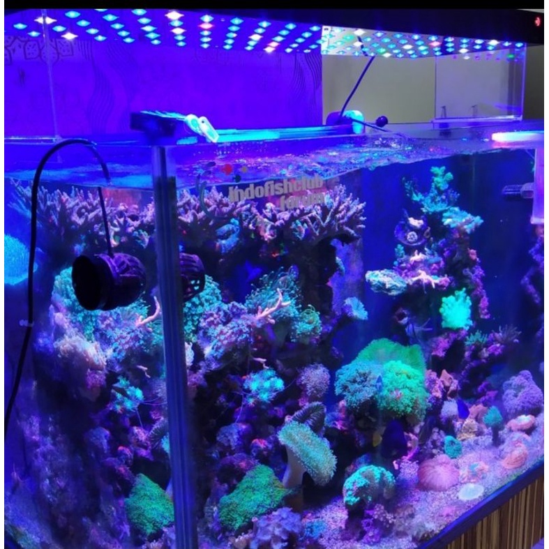 Lampu Aquarium Led - KMS Led 100 watt