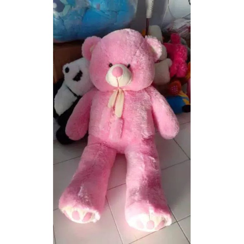 BONEKA BEAR PITA 1,2 M TERMURAH TERLARIS / BONEKAH BEAR JUMBO / BONEKA BESAR MURAH / BONEKA BORDIR