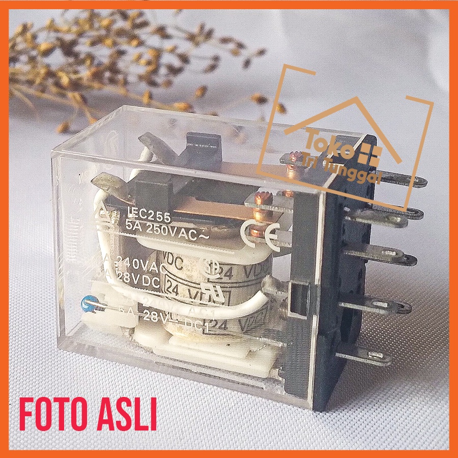 Relay 24V AC DC Volt