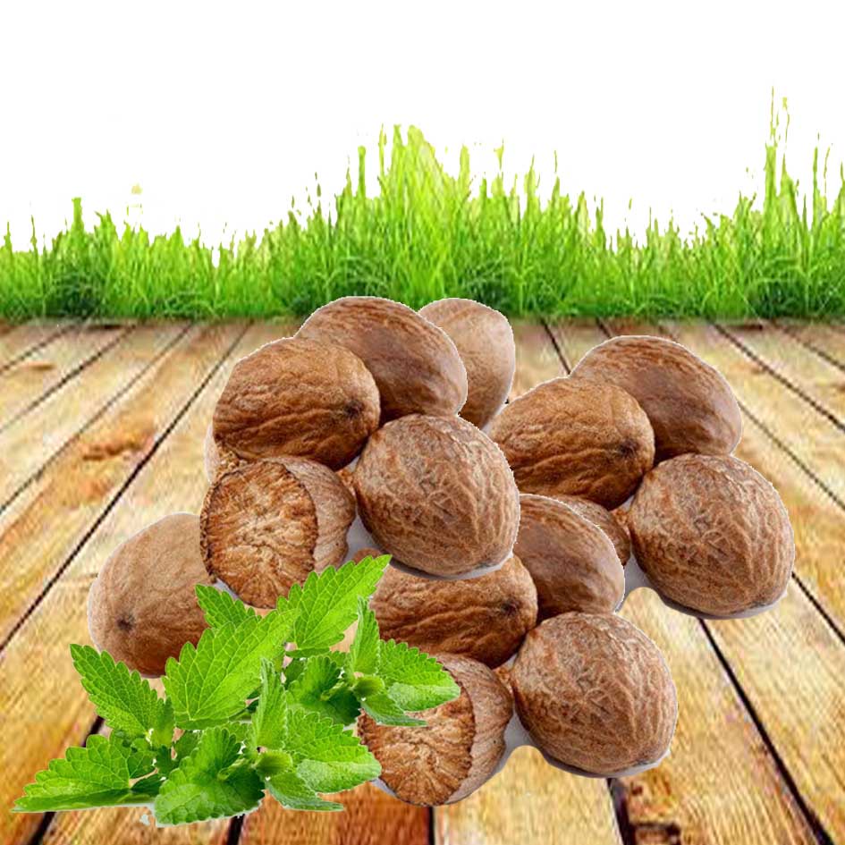 

PALA Bubuk & Utuh Bumbu Masak Premium