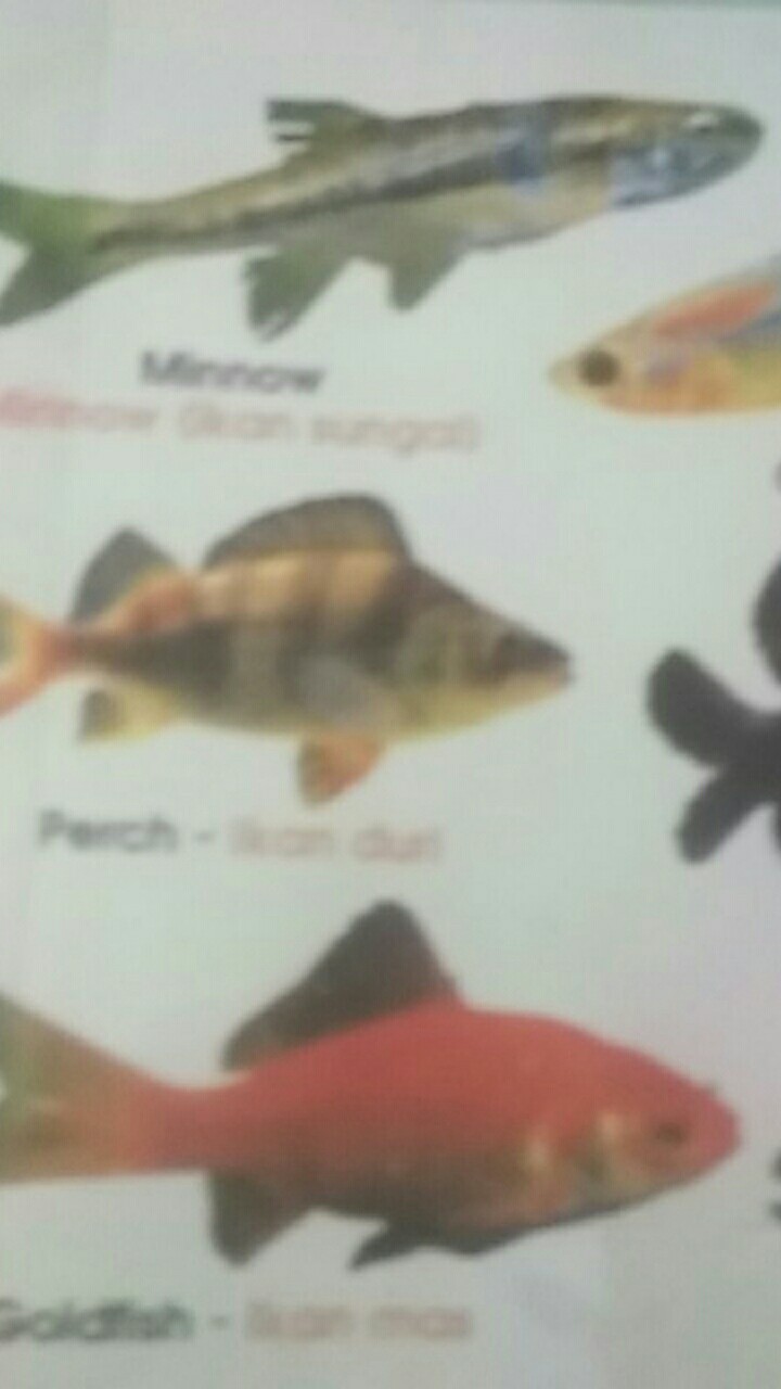 Couple Gamis Kombinasi Gamis Mewah Kualitas Oke Gamis Couple Batiktradisional Batik Sayfuul Fhasion