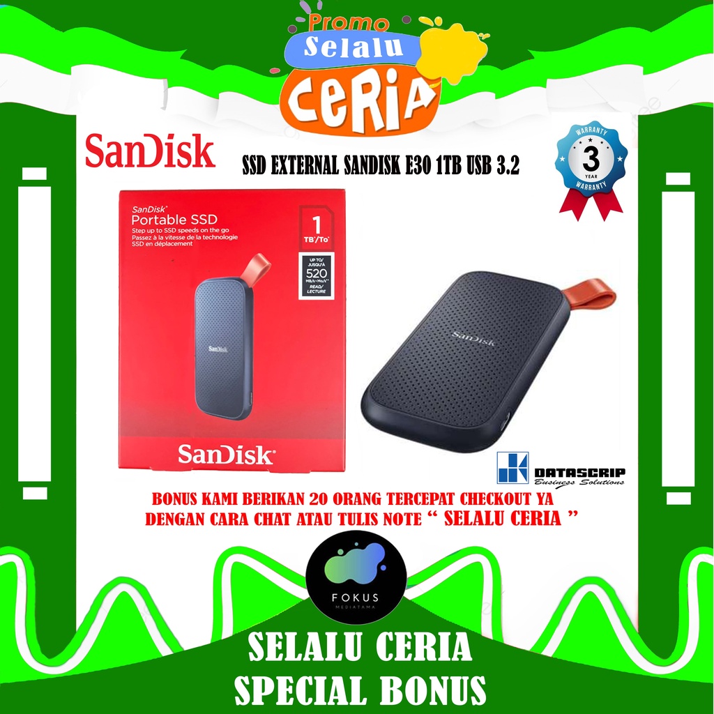 SanDisk Portable SSD External E30 1TB Eksternal USB 3.2 Type C