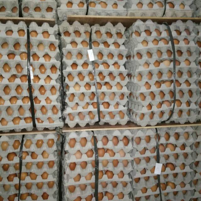 

Telur Ayam Negri