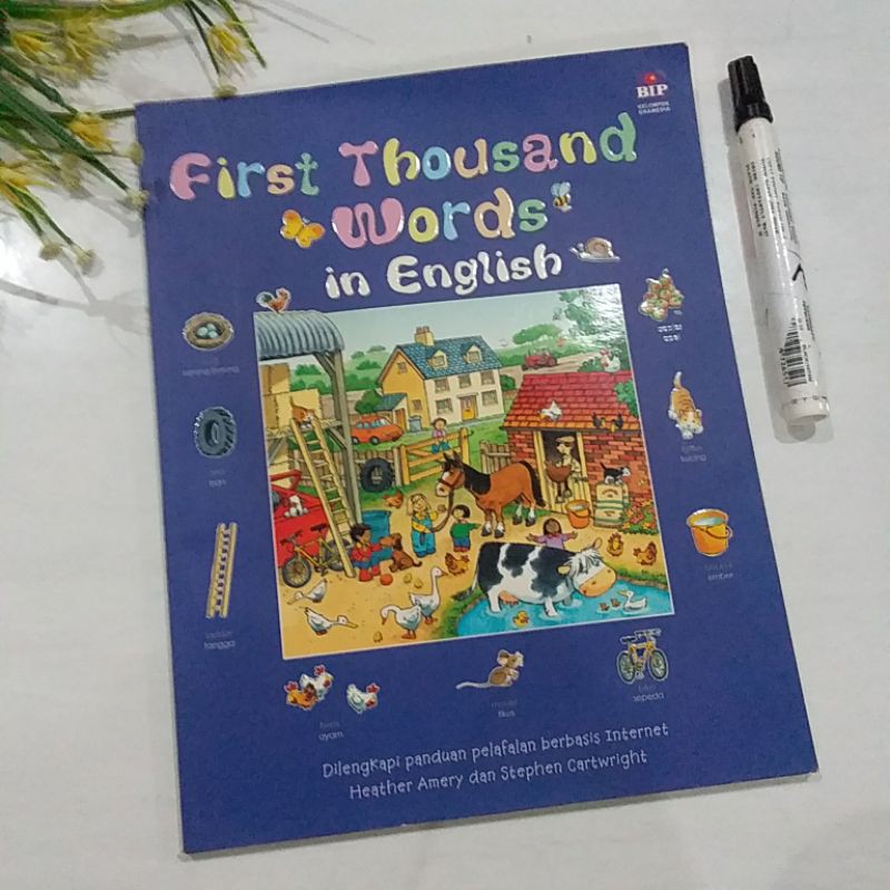 dictionary preloved first thousand words in english kamus anak
