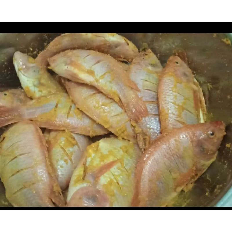 

Ikan Nila Bumbu