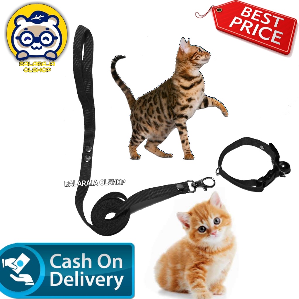 HARNESS O TALI TUNTUN KUCING MUSANG ANJING HARNES LONCENG