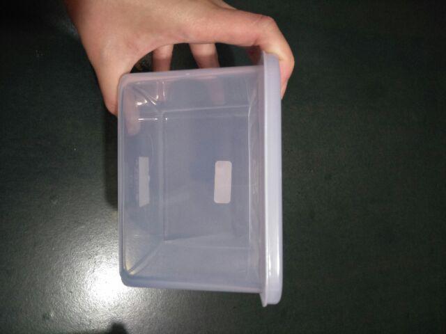 Sealware Segi Natural B47 Pt3 Lion Star