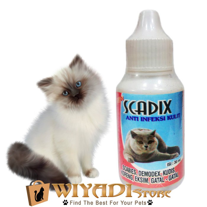 Scadix Tetes Obat Jamur Scabies Luka Kurap Kucing Kitten